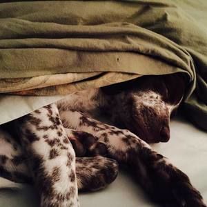 Meet your Posher, Vonetta